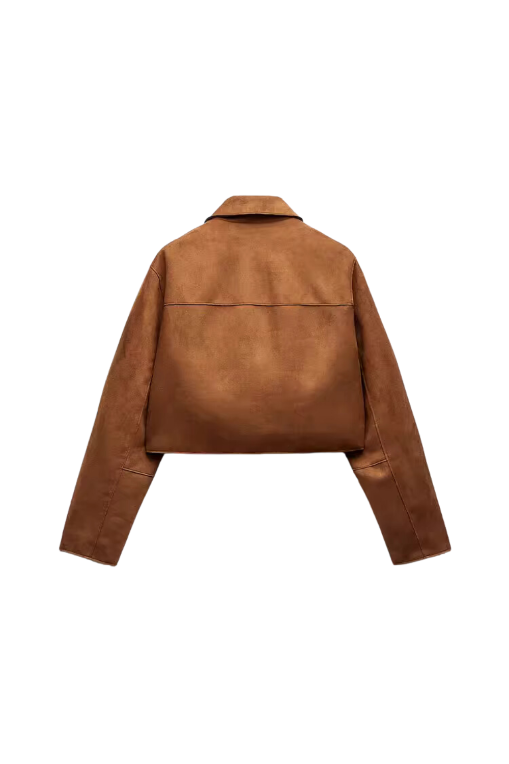 5_386b13ab-8e18-4d0a-b797-84443b87a11b